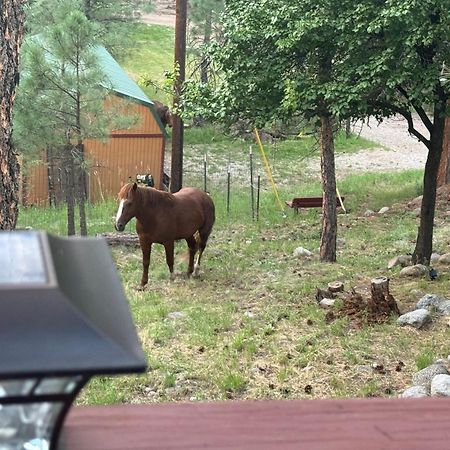 רואידוסו Gonzales Cozy Little Bear Cabin מראה חיצוני תמונה